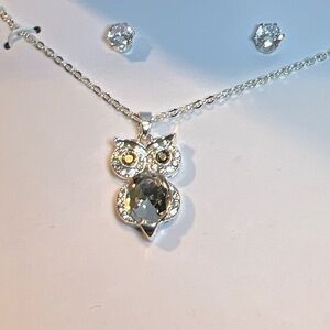 Elegant Silver Owl Pendant Necklace with earrings.
